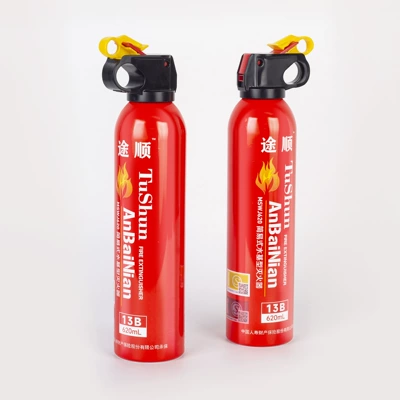Vehicle fire extinguisher: Extinguisher, Small Portable In-Car