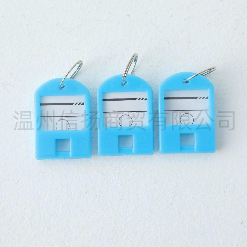 Plastic removable keychain for keys for office