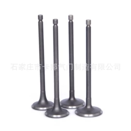 气门及部件;气门部件;油封