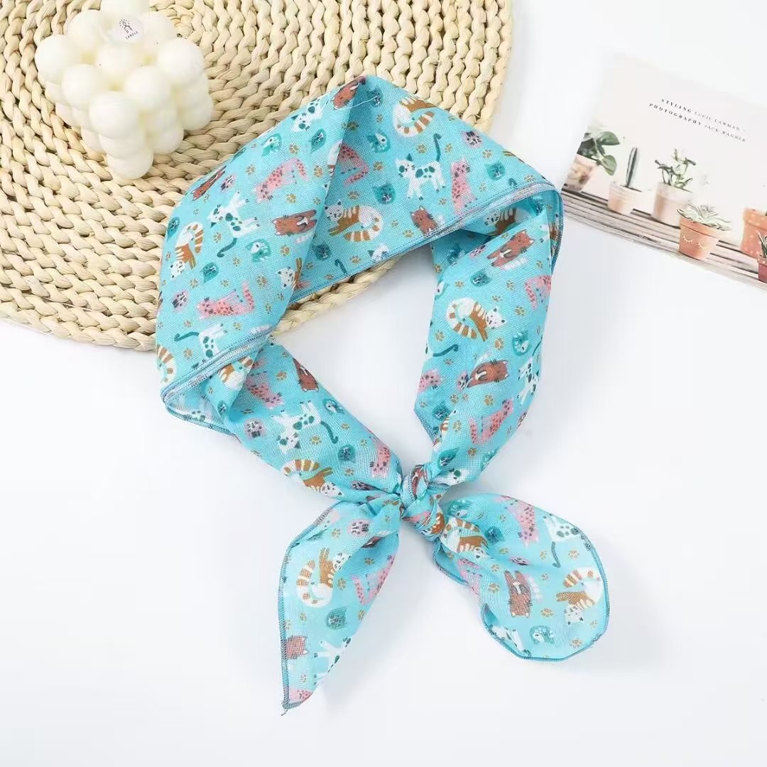 고양이 사진 9장