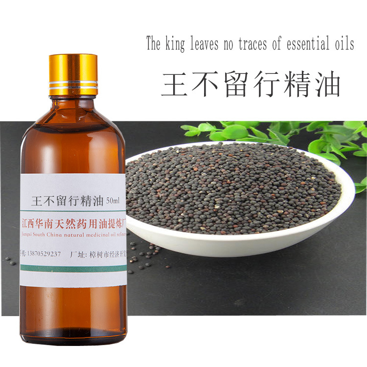 超临界萃取厂家   王不留行油 王不留行精油 单方精油 植物精油