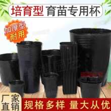 �I�B��������Ӻ�I�B�����籭�Nֲ��Ě�ȸ��������籭�r�÷Nֲ��