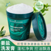 Snow Ginger shampoo Dandruff scalp Frosting cream fluffy Oil head sea salt Shampoo wholesale