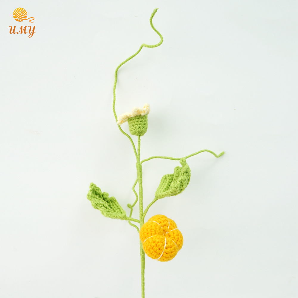 녹색 새싹 호박