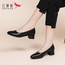 红蜻蜓女鞋春季新款鞋子女士休闲正装皮鞋女款单鞋职业小皮鞋真皮