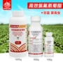 中保高效农药甘蓝农药