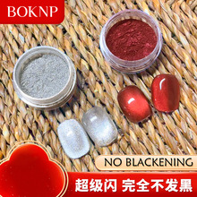 铂美新年白月光车厘子猫眼磁粉2025年新款升级加密磁粉美甲店专用