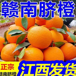 �M��Ě������ե֭��Ƥ����ӑ������rˮ��