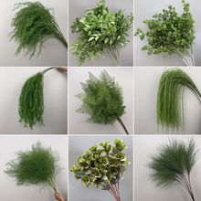 ɭϵ�Gɫ�J���ݻ��Gֲ��횲ݻ�c��픻��bƵ��Y�̈��쾰���l