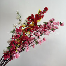����6���һ�֦�Ҿ��b������һ��ٻ��@�־G�����̘��c�b�