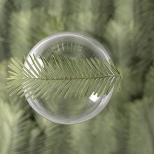 水杉叶 压花押花干花 植物标本树叶子 手工贴画滴胶diy书签材料