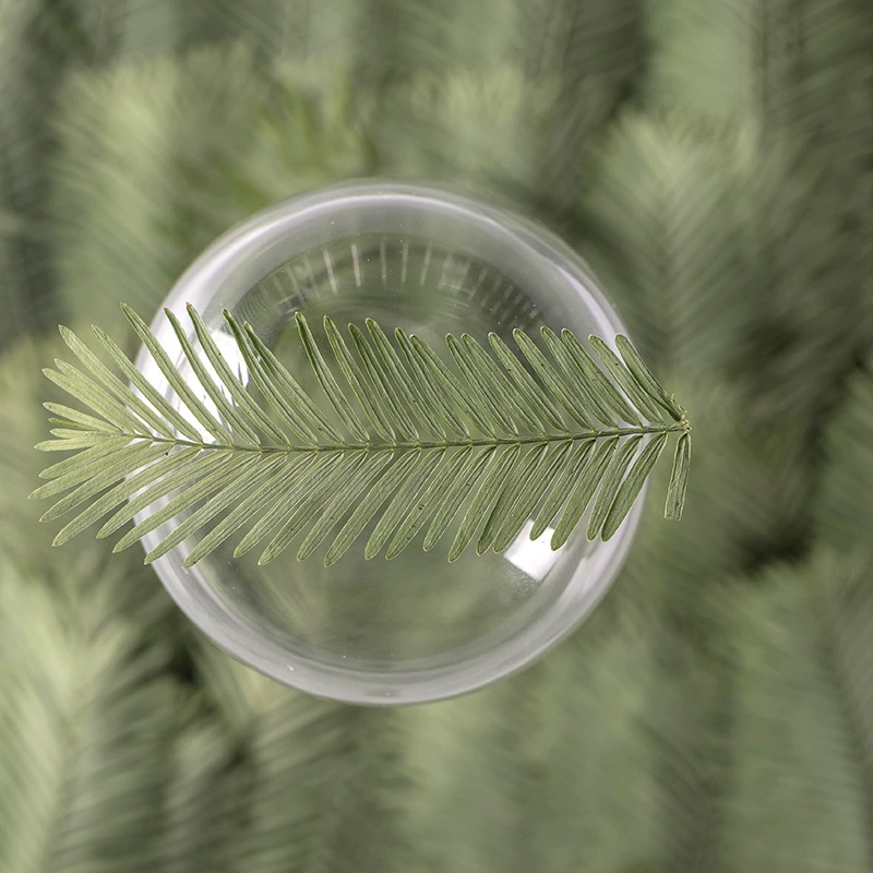 Metasequoia лист тисненый цветок сушеный цветок растение образец Дерево лист ручной работы наклейка капля Клей DIY Материал закладки