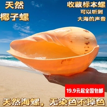 ��Ҭ���ݺ���ؐ���Sư��ľ�����~��ˮ���쾰�b���˱P��������