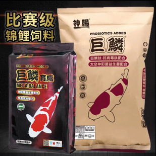 Fish Food Shenyang Giant Scale Koi Feed Competition Grade Breeding Body Increase Color Non-Turbid Water Granular Fish Food 10kg