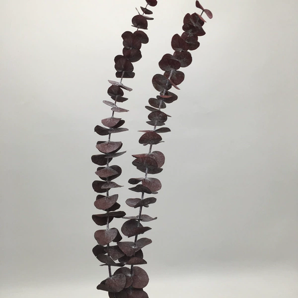 XTQA-0301 red