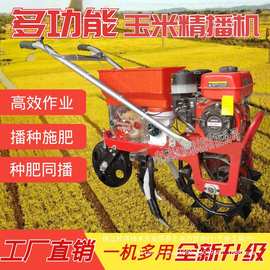 汽油机多功能玉米大豆精播机小麦花生小型播种机其他