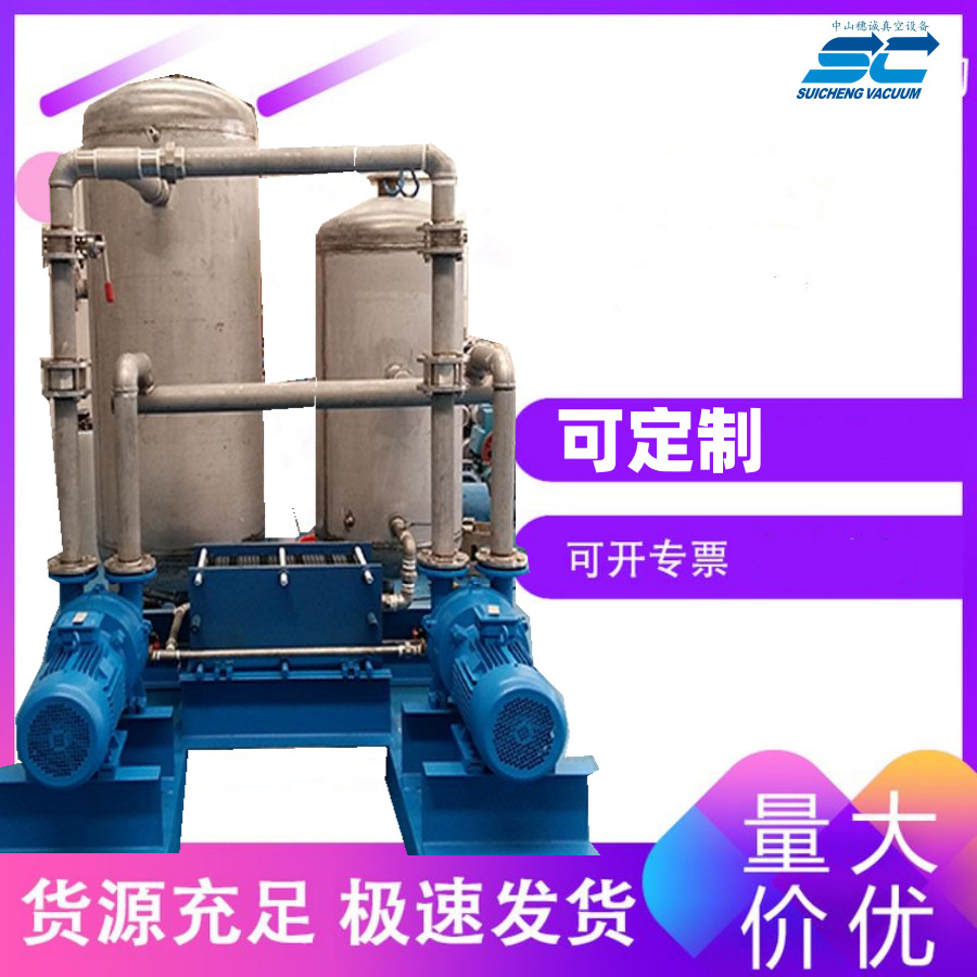 罗茨旋片真空机组 阳江液环真空系统设备 食品厂抽真空 穗诚