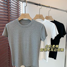�������� �������������ᱡ͸��ľ�����ܱ�Բ�����T��26��
