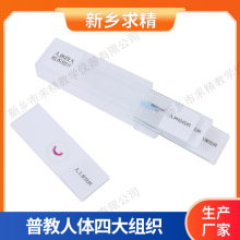 厂家批发人体组织切片4片装显微镜生物玻片中考加试玻璃标本切片