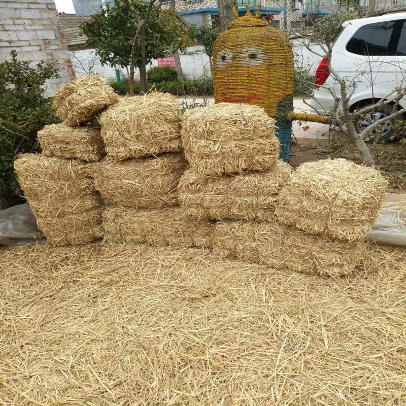 厂家批发干草秸秆干草批发大捆干草养殖用干草