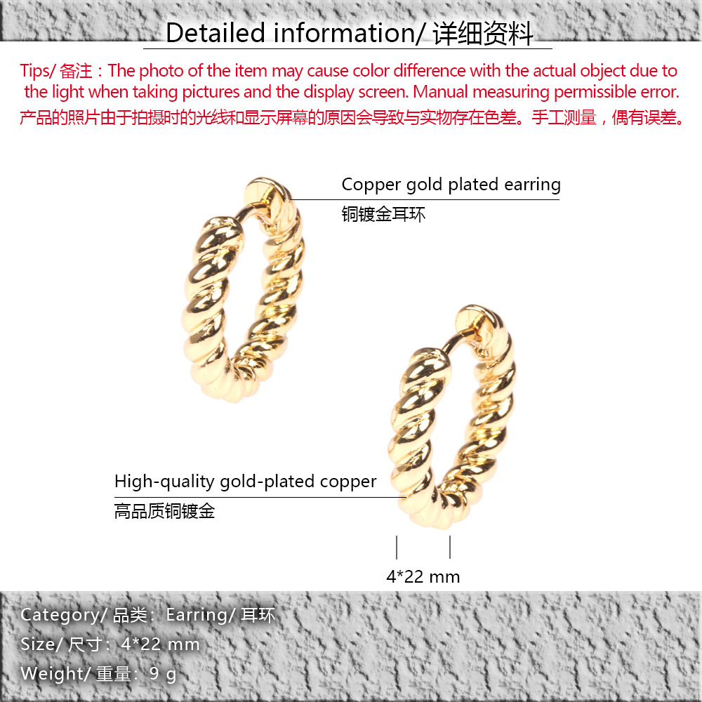 Retro Twist Spiral Geometric Metal Earrings display picture 1
