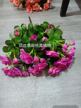 ������N��ӳɽ�tɽʯ���̈����@�ۘ�̎չ�d�@ˇ�����b����ٻ�