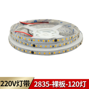 Led Light Strip 220V High Voltage Bare Plate Spray Glue Driver-Free Light Strip Copper Bracket Lamp Bead 5 Wide 7 Wide 8 Wide