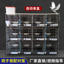 �V���z�W ��\�F�z���ӻ\ ����12λ���\ �Ӵ����\ 1.5���Bֳ���\