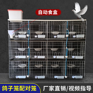 �V���z�W ��\�F�z���ӻ\ ����12λ���\ �Ӵ����\ 1.5���Bֳ���\