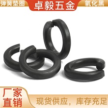 ̼�8.8���ߏ��ȏ��ɉ|ȦM5M6M8�_�ڏ��ԉ|Ȧ�����l�ڏ���Ȧ���l