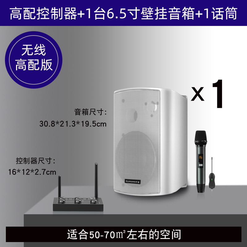 壁挂无线音响店铺舞蹈教室餐厅健身房会议室商用音箱组合套装|undefined