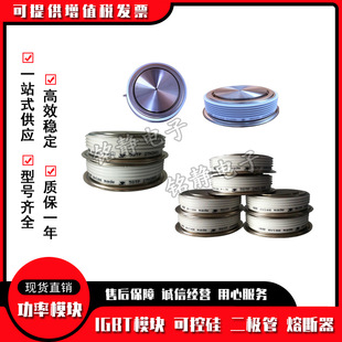 Thyristor T193-2000-60 T743-320-65 T343-400-44 T193-4000-28