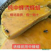 ��Ϟ�T�����T�з��з�ϞҰ���Ϟ�T��Ϟ�B���T��Ұ��