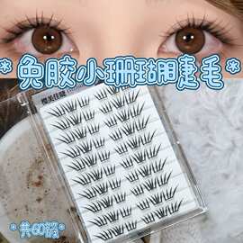 免胶免卸小珊瑚假睫毛仿真嫁接斜飞狐狸眼假睫毛舒适轻盈出片