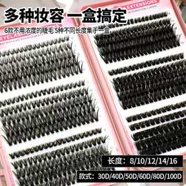跨境欧美新款睫毛书DIY自然30D-100D混装单簇分段式假睫毛批发