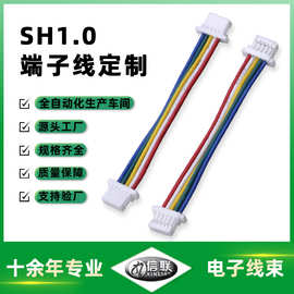 SH1.0 连接线智能指纹锁连接线液晶显示屏内部连接线支持来图来样