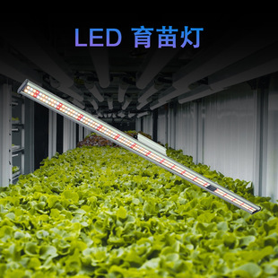 Plant growth 150W solar simulation lamp seedling box greenhouse propagation plant fill light led light bar full spectrum