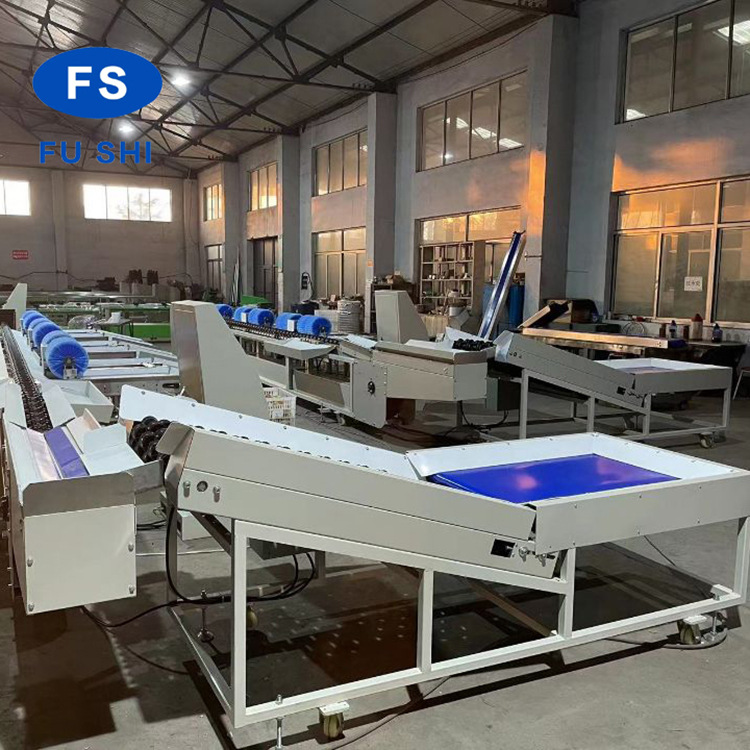 销售供应全自动水果清洗打蜡分选机 价格实惠 售后无忧