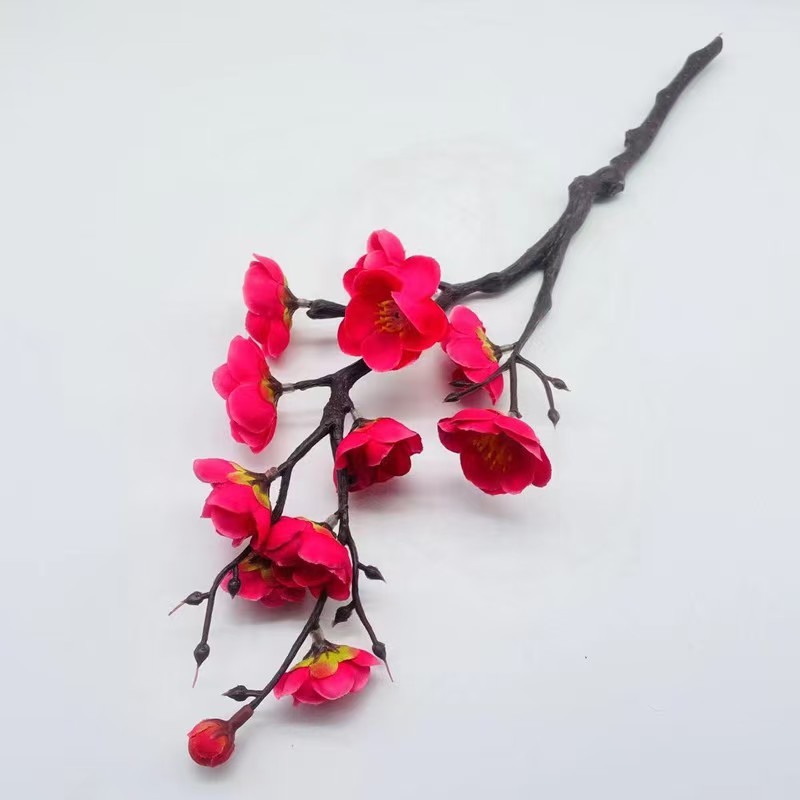 샤오슈 메이 로즈 레드