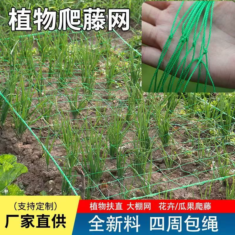 Сетка для садовых растений, сетка для овощей и цветов, рамка для лазания, сетка для цветочной решетки