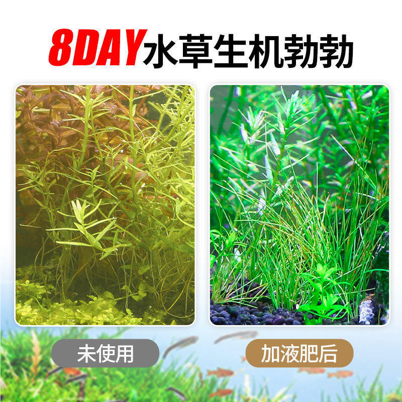 鱼缸活水草植物淡水四季观景鱼缸水草造景鱼缸里面的真水草 报价 阿里巴巴
