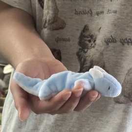 现货高颜值小梦龙玩偶咪咪龙材料包毛绒玩偶自制毛绒娃娃手工diy