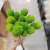 Green strawberry, 15 pieces