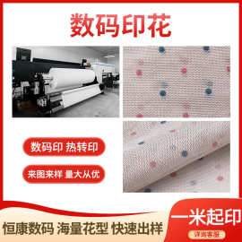 窗帘连衣裙服装内衬涤纶面料网纱网眼布海量花型数码印花加工提花