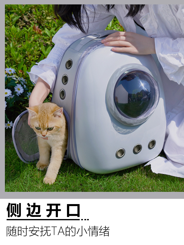 O1CN01g9NajS1zPOmaynvjn_!!2207