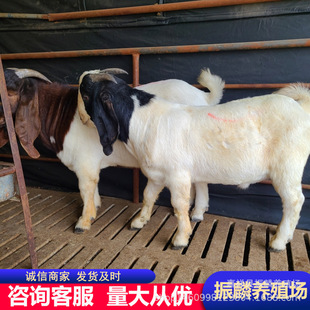 ɽ���Bֳ�� ����ɽ��С����r�� ����Ĳ���ɽ��Ʒ�N��