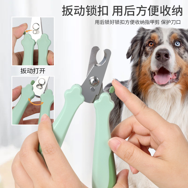 Perro y mascota cortadores de uñas afilados pinzas de uñas limpias al por mayor productos de belleza gatos cortadores de uñas fuente fábrica en stock image 4