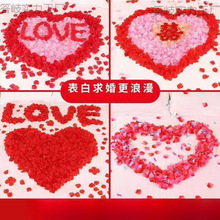 õ�廨��Ƭ�o�������ײ����������Y���ĔzKTV�bS��ֱ�N