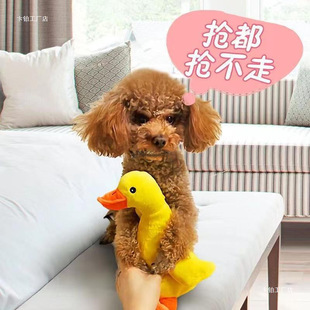 ������߰l�lйĥ����ҧ����С�����˽␞��Ȯ̩�ϱ��ܿ»�