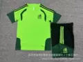 2627 mexican green training set